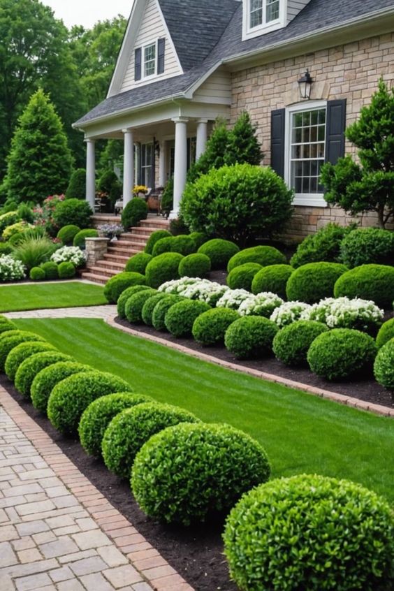 Low Maintenance Front Yard Landscaping